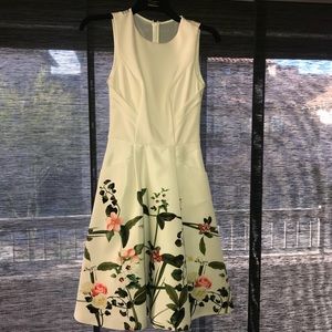 Ted Baker Karolie A-Line Dress